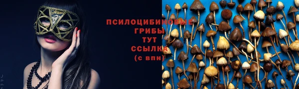 гашик Козельск