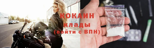 гашик Козельск
