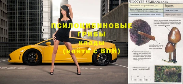 амф Киреевск