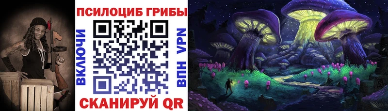 магазин продажи   Красавино  Псилоцибиновые грибы Psilocybine cubensis 