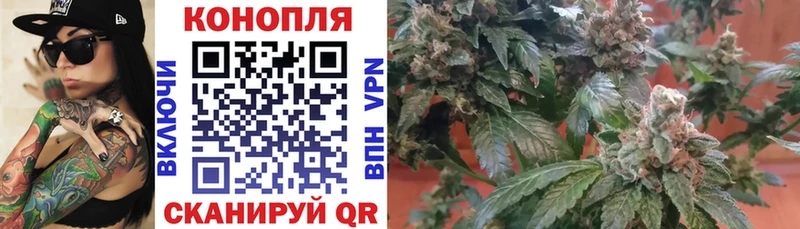 цена   Красавино  Шишки марихуана индика 